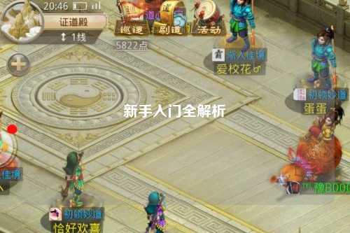 新手入门全解析