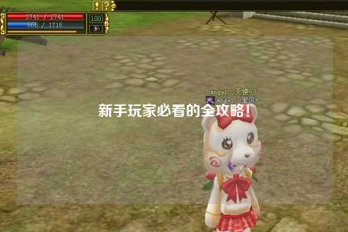 新手玩家必看的全攻略！
