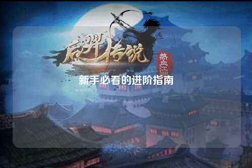 新手必看的进阶指南