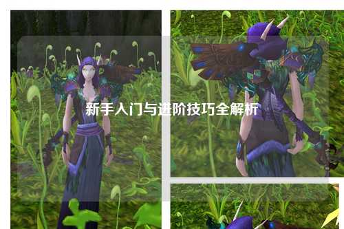 新手入门与进阶技巧全解析