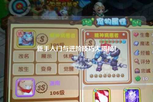 新手入门与进阶技巧大揭秘!