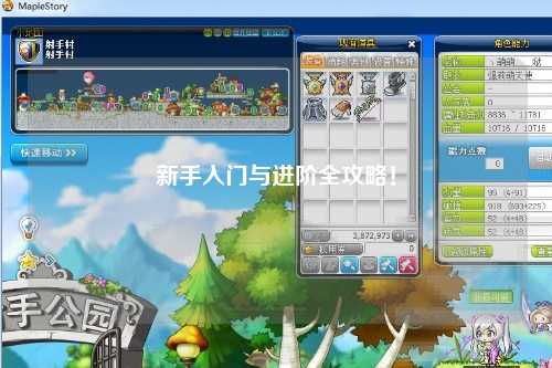 新手入门与进阶全攻略!