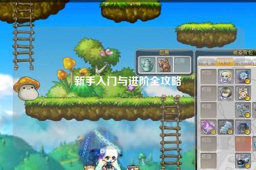 新手入门与进阶全攻略
