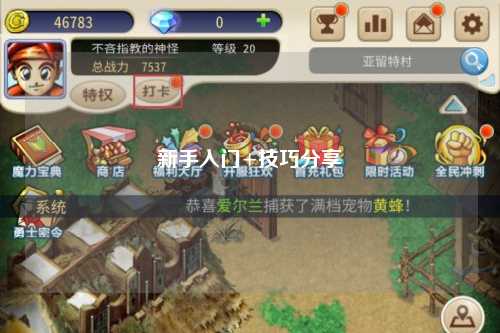 新手入门+技巧分享