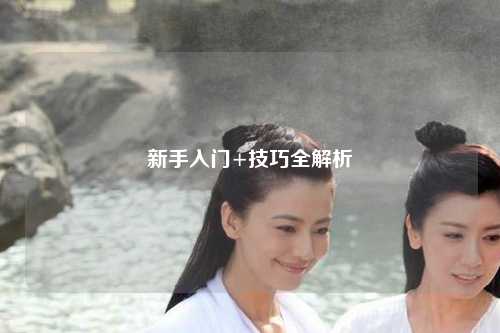 新手入门+技巧全解析