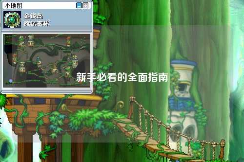 新手必看的全面指南