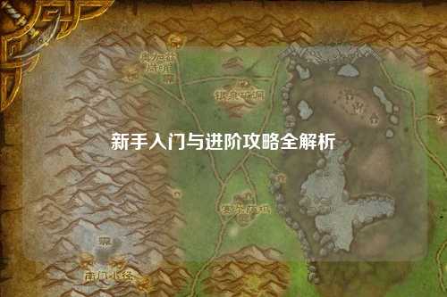 新手入门与进阶攻略全解析