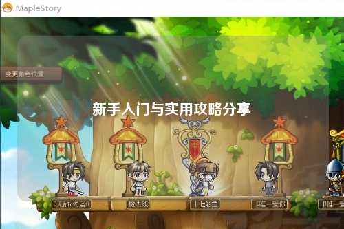 新手入门与实用攻略分享