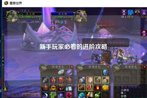 新手玩家必看的进阶攻略