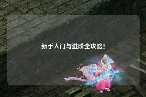 新手入门与进阶全攻略!