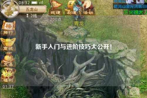 新手入门与进阶技巧大公开!