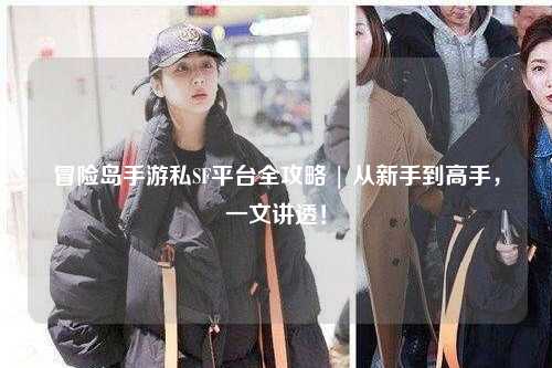 冒险岛手游私SF平台全攻略 | 从新手到高手,一文讲透!
