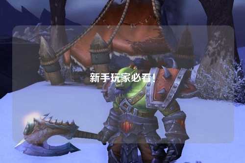 新手玩家必看!