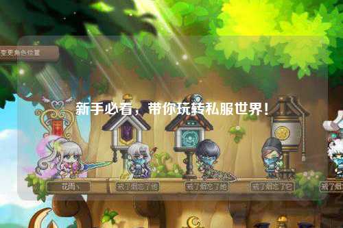 新手必看,带你玩转私服世界!