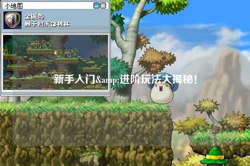 新手入门&进阶玩法大揭秘!