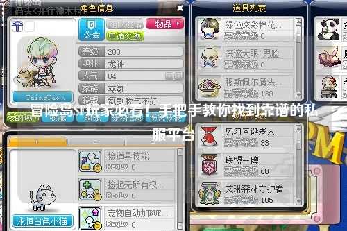 冒险岛SF玩家必看!手把手教你找到靠谱的私服平台