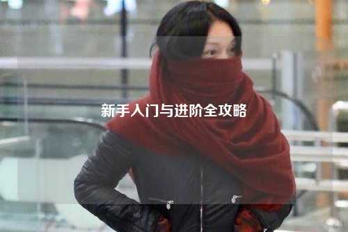 新手入门与进阶全攻略