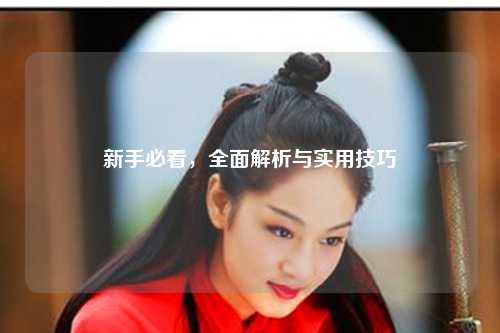 新手必看,全面解析与实用技巧
