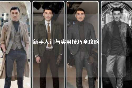 新手入门与实用技巧全攻略