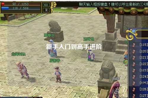 新手入门到高手进阶