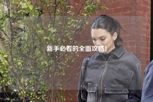 新手必看的全面攻略!