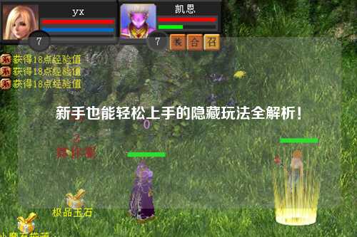 新手也能轻松上手的隐藏玩法全解析!