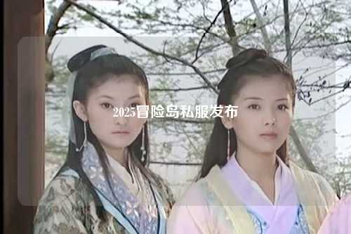 2025冒险岛私服发布