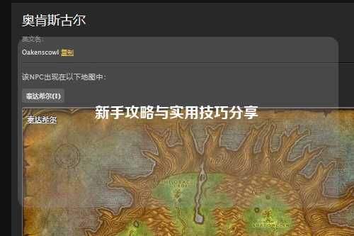 新手攻略与实用技巧分享