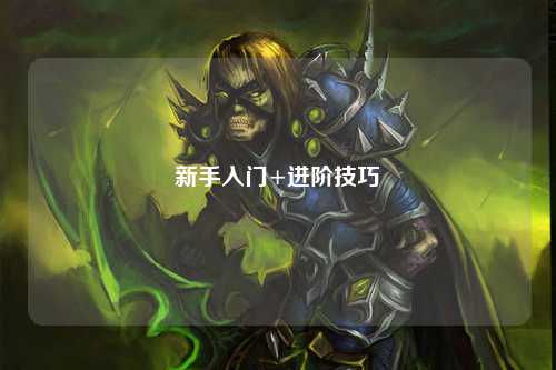 新手入门+进阶技巧