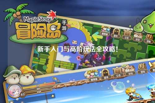 新手入门与高阶玩法全攻略!
