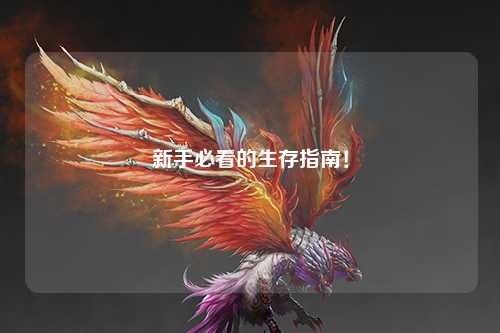 新手必看的生存指南!