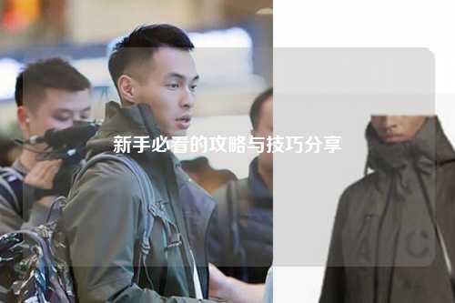 新手必看的攻略与技巧分享