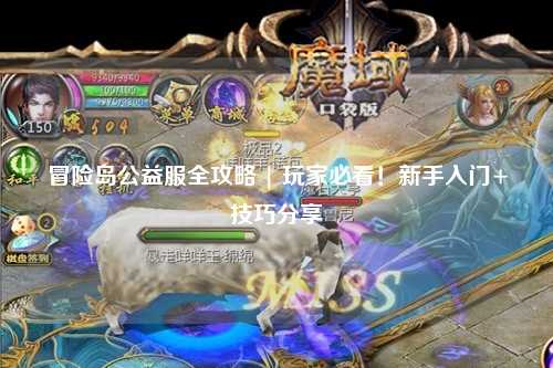 冒险岛公益服全攻略 | 玩家必看!新手入门+技巧分享