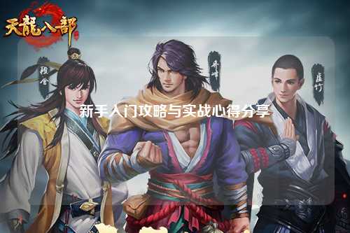 新手入门攻略与实战心得分享