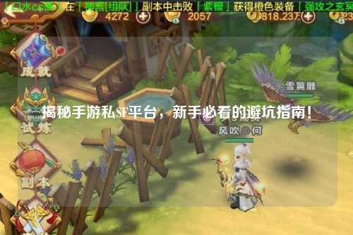 揭秘手游私SF平台,新手必看的避坑指南!
