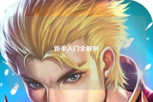 新手入门全解析