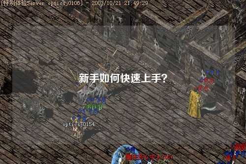 新手如何快速上手?