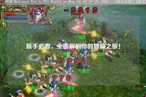 新手必看,全面解析你的冒险之旅!