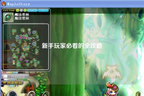 新手玩家必看的全攻略