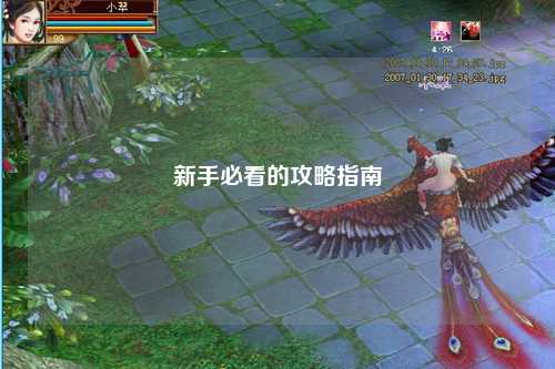 新手必看的攻略指南