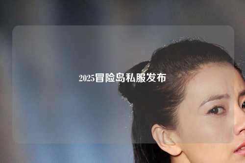 2025冒险岛私服发布