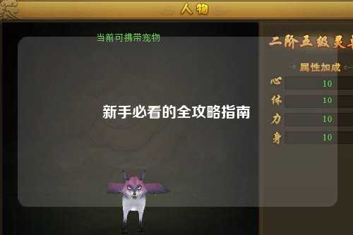 新手必看的全攻略指南