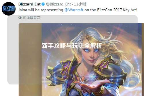 新手攻略与玩法全解析