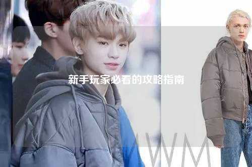 新手玩家必看的攻略指南