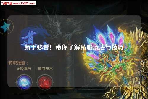 新手必看!带你了解私服玩法与技巧