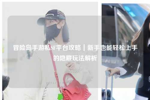冒险岛手游私SF平台攻略｜新手也能轻松上手的隐藏玩法解析