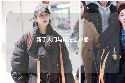 新手入门与玩法全攻略