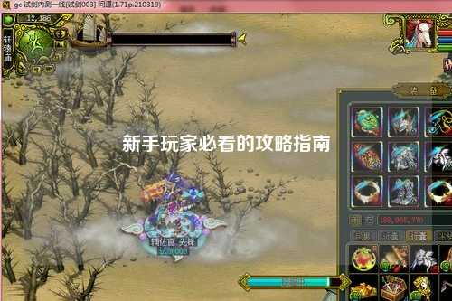 新手玩家必看的攻略指南