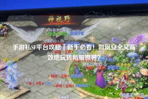 手游私SF平台攻略|新手必看!如何安全又高效地玩转私服世界?