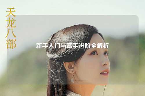 新手入门与高手进阶全解析